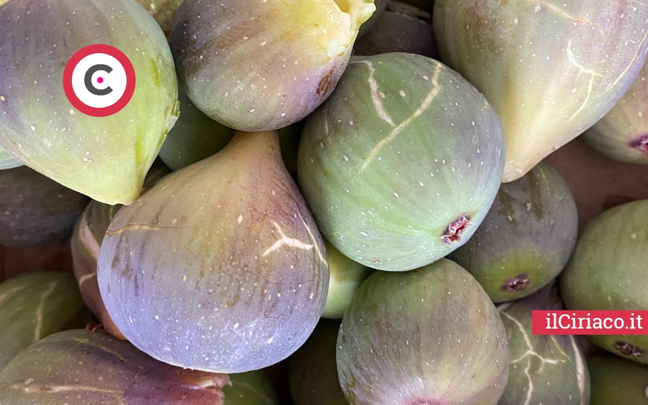 Perché mangiare la buccia dei fichi ilCiriaco.it