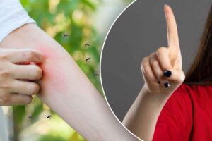 Trucco dell'estate per eliminare il problema delle zanzare