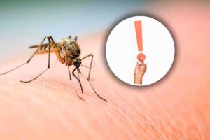 Repellenti anti zanzare fai da te