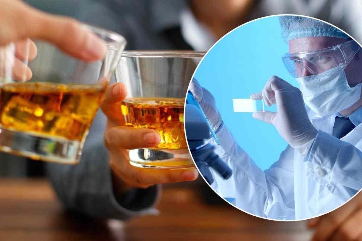 Bere alcol fa male anche in poche quantità