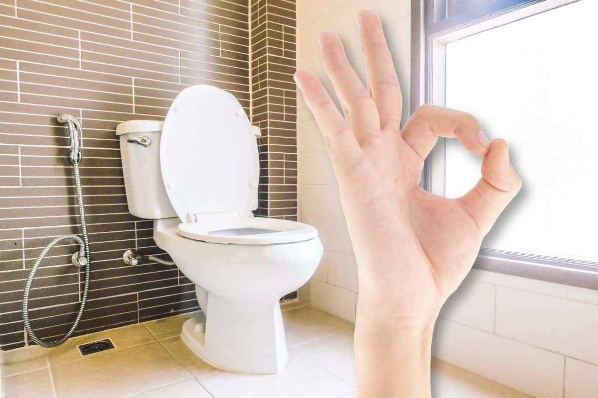 Come pulire il wc di casa con prodotti naturali