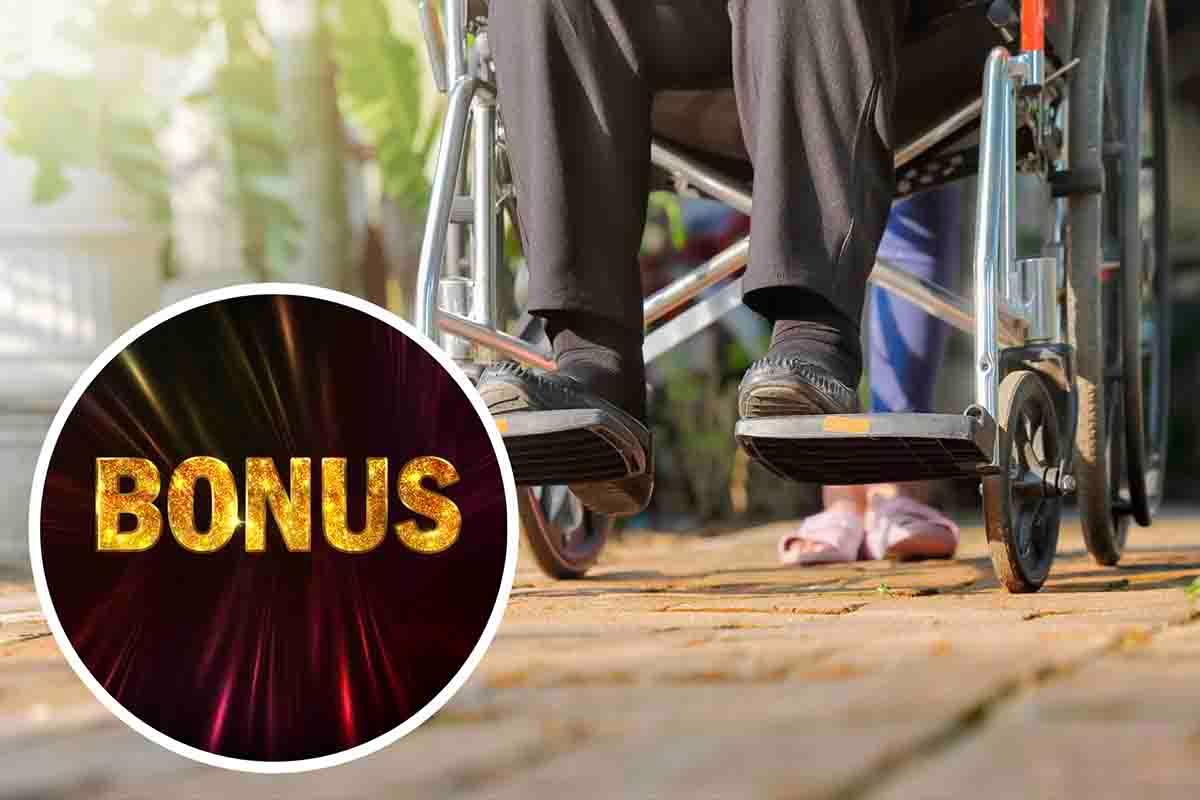 Bonus 400 euro disabili anziani guida