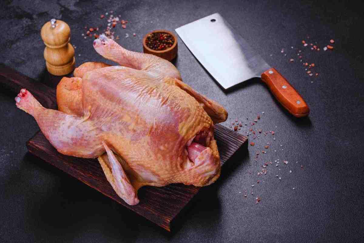 come riconoscere un pollo di qualità